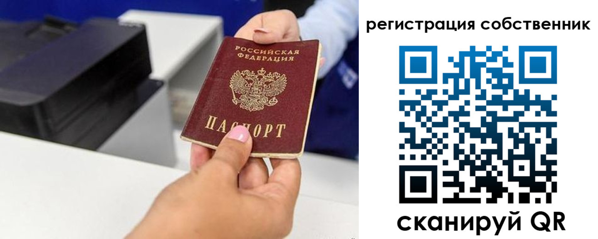 прописка для школы в Заозёрном